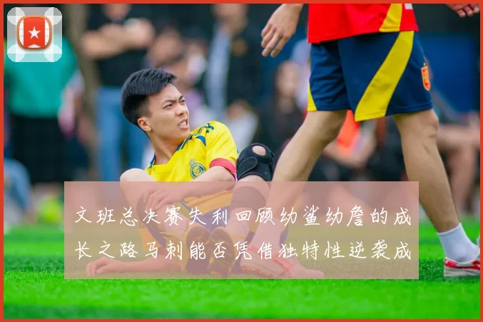 文班总决赛失利回顾幼鲨幼詹的成长之路马刺能否凭借独特性逆袭成功